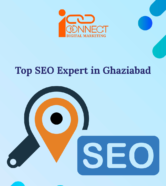 Top SEO Expert in Ghaziabad (1)