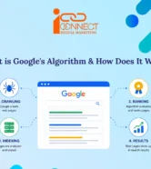 Google Search algorithm explained through crawling, indexing, ranking and search results